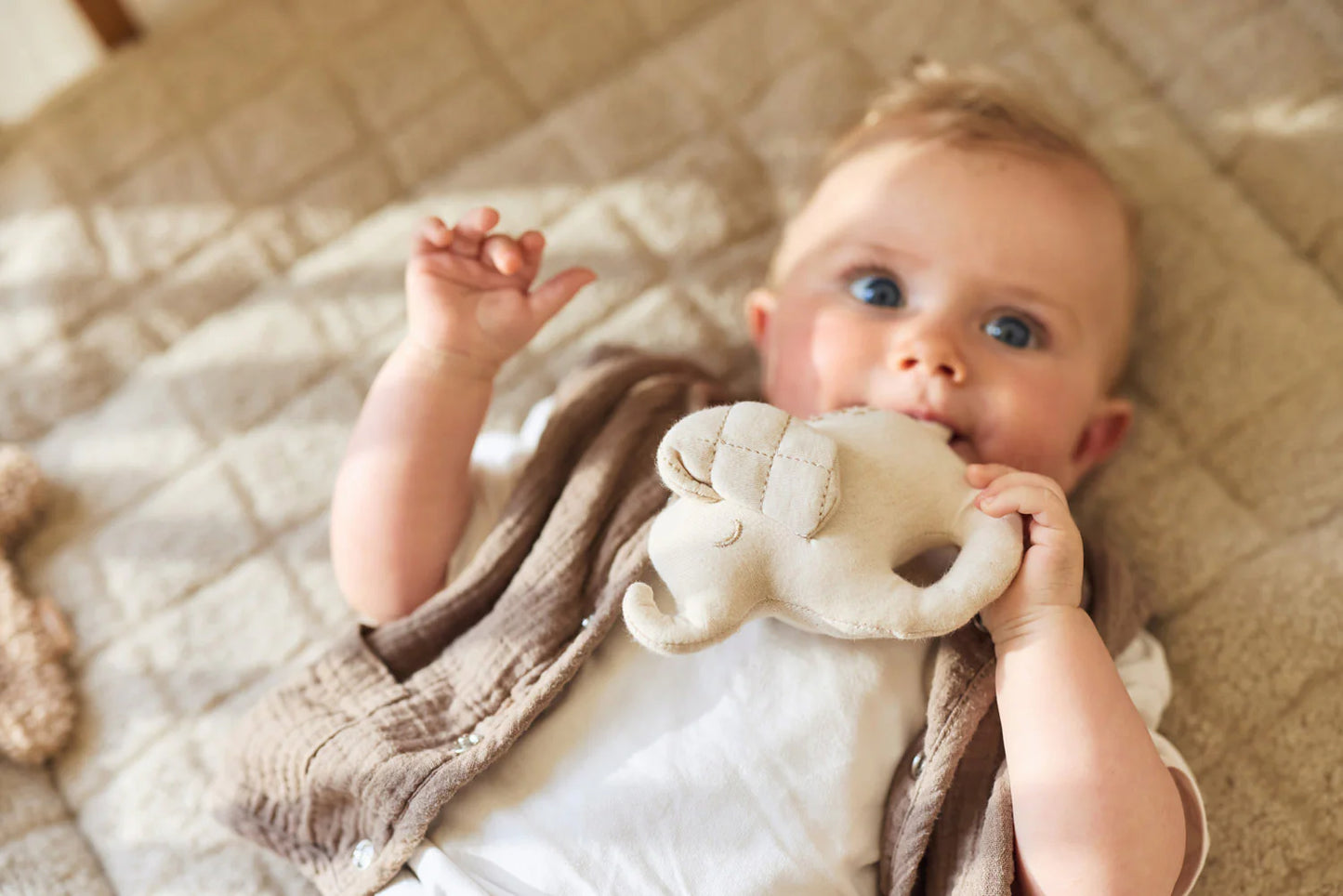 Jollein - Rassel Elephant Tales