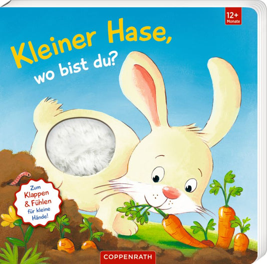 Coppenrath - Mein 1. Guckloch-Fühlbuch